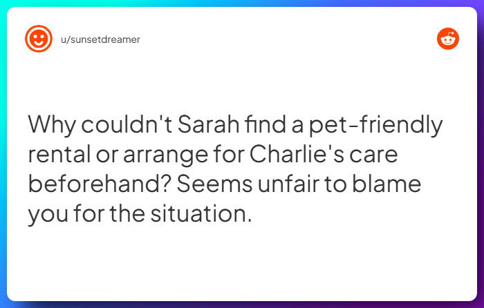 Comment from u/sunsetdreamer