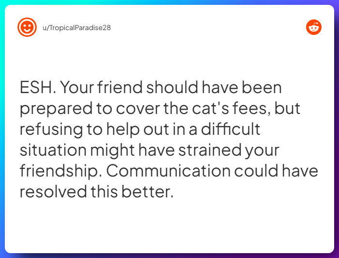 Comment from u/TropicalParadise28