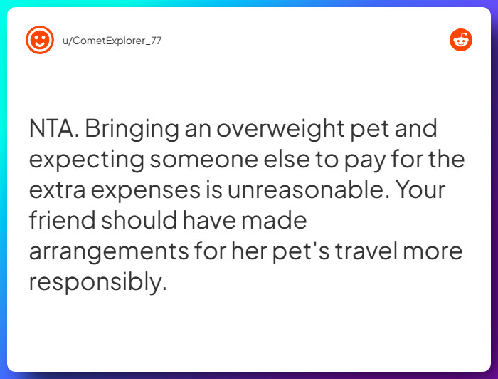 Comment from u/CometExplorer_77