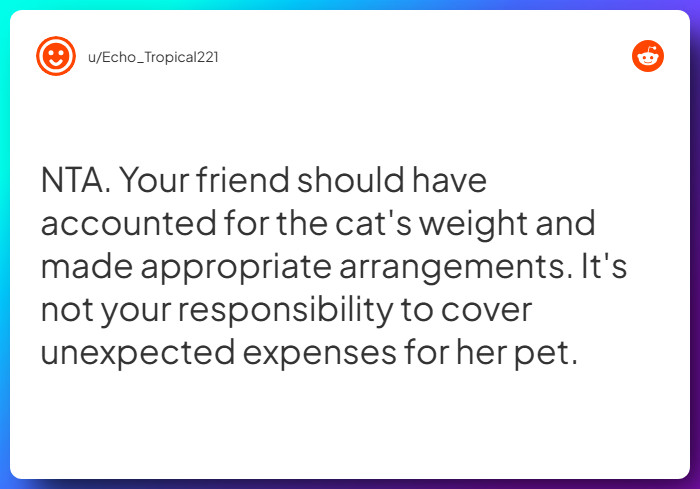 Comment from u/Echo_Tropical221