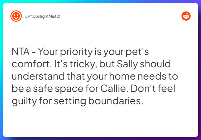 Comment from u/MoonlightMist21