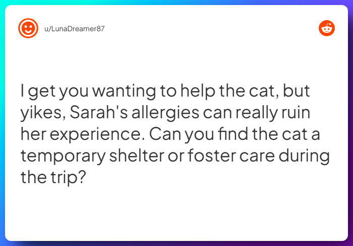 Comment from u/LunaDreamer87