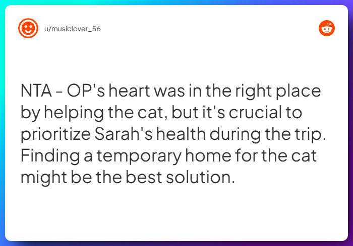 Comment from u/musiclover_56