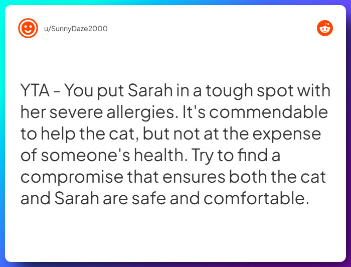 Comment from u/SunnyDaze2000