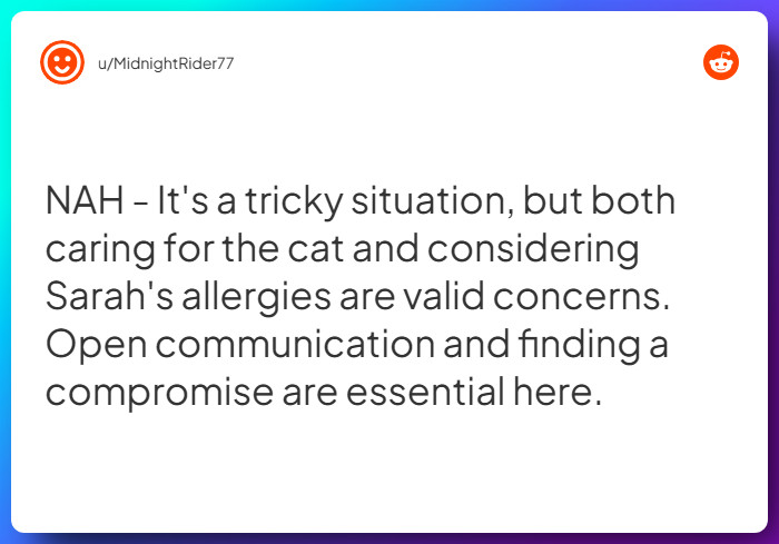 Comment from u/MidnightRider77