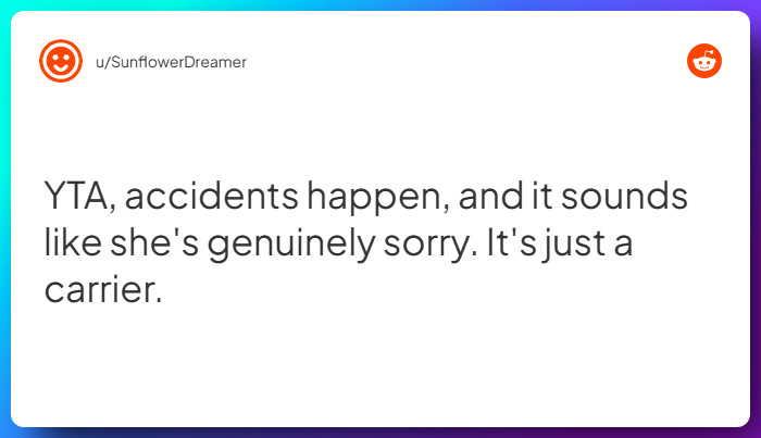 Comment from u/SunflowerDreamer