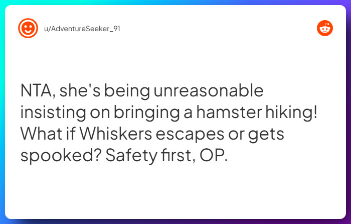 Comment from u/AdventureSeeker_91