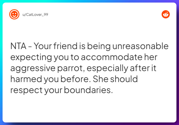 Comment from u/CatLover_99