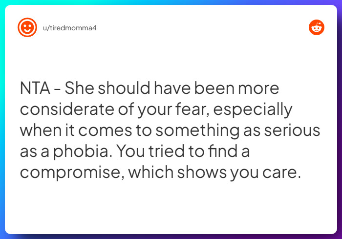 Comment from u/tiredmomma4