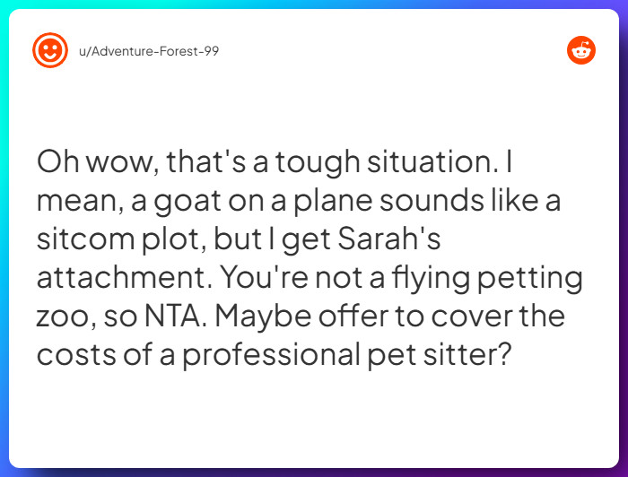 Comment from u/Adventure-Forest-99