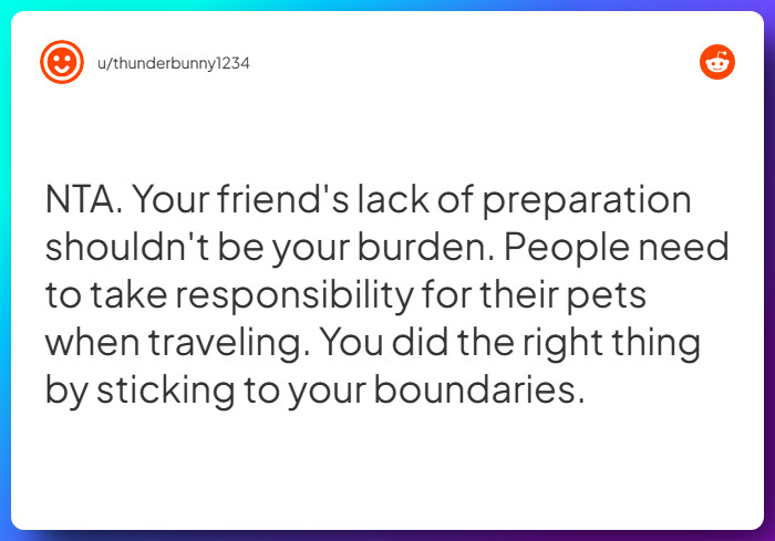 Comment from u/thunderbunny1234