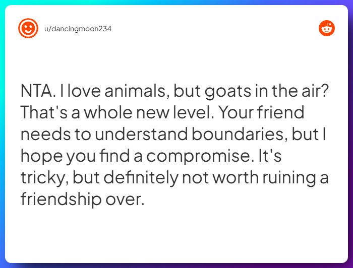 Comment from u/dancingmoon234