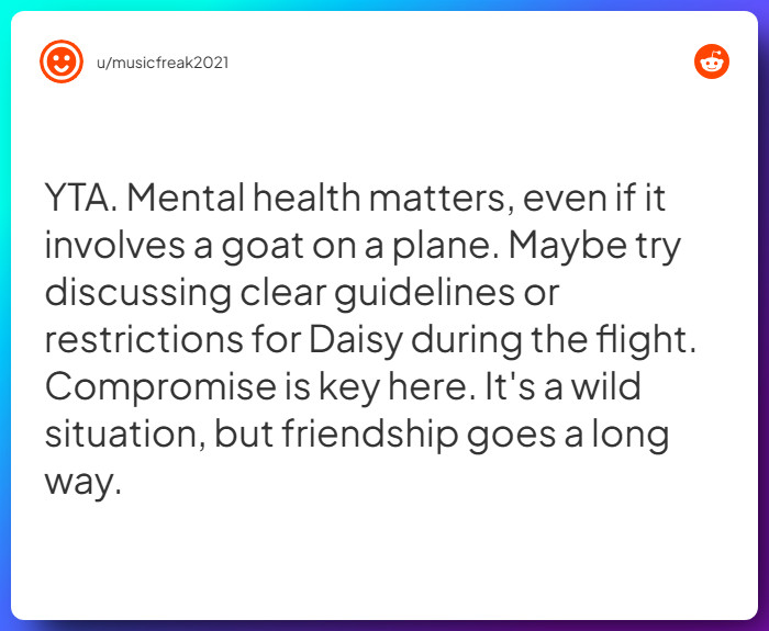 Comment from u/musicfreak2021