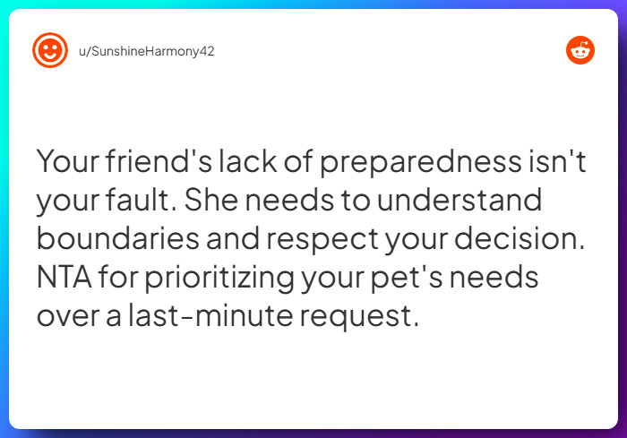 Comment from u/SunshineHarmony42