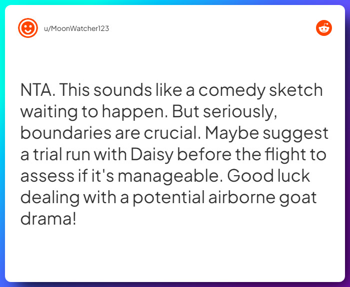 Comment from u/MoonWatcher123