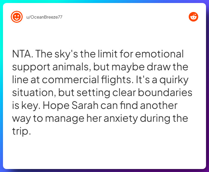 Comment from u/OceanBreeze77