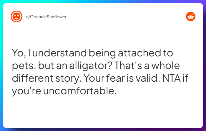 Comment from u/OceanicSunflower