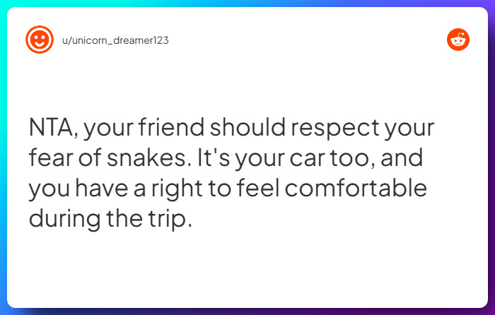 Comment from u/unicorn_dreamer123