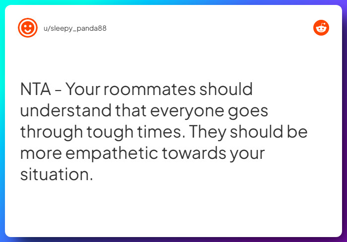 Comment from u/sleepy_panda88