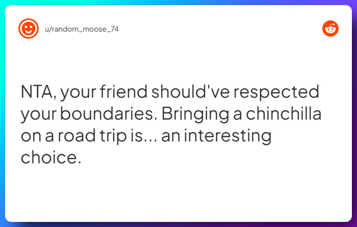 Comment from u/random_moose_74