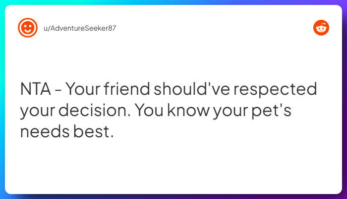 Comment from u/AdventureSeeker87