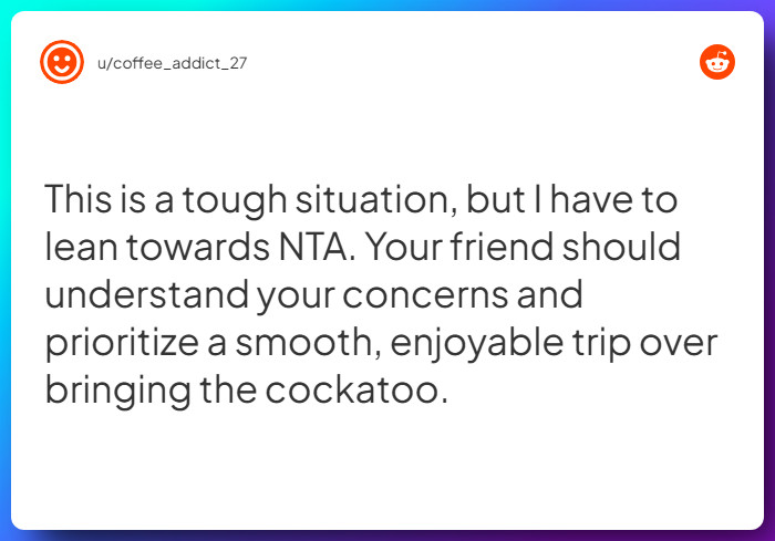 Comment from u/coffee_addict_27