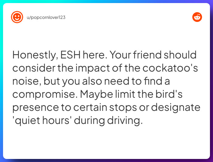 Comment from u/popcornlover123