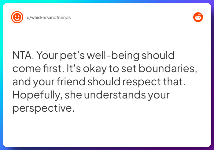 Comment from u/whiskersandfriends