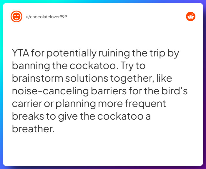 Comment from u/chocolatelover999