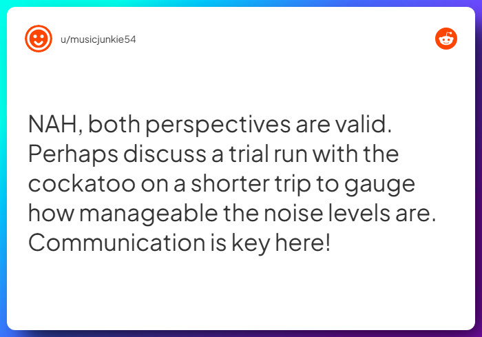 Comment from u/musicjunkie54