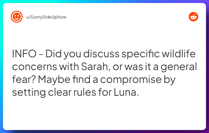 Comment from u/SunnySideUpNow