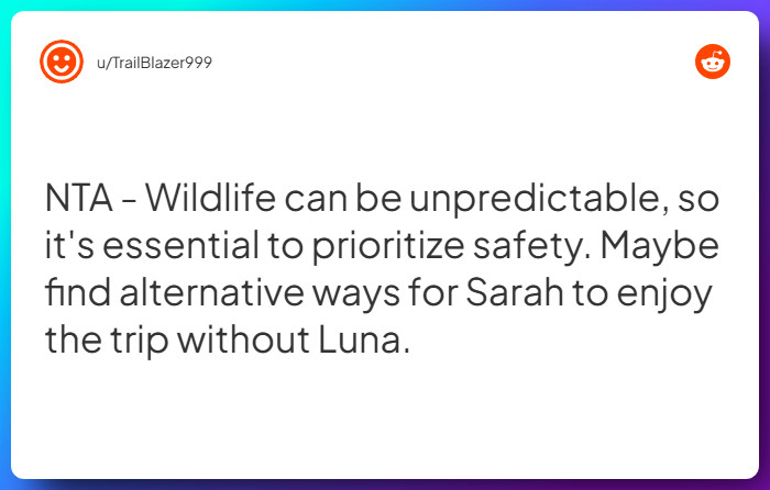 Comment from u/TrailBlazer999