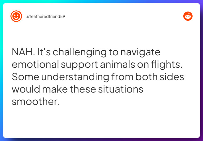 Comment from u/featheredfriend89