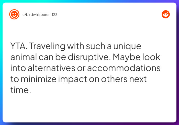 Comment from u/birdwhisperer_123