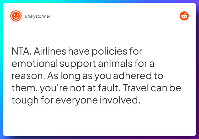 Comment from u/skystormer