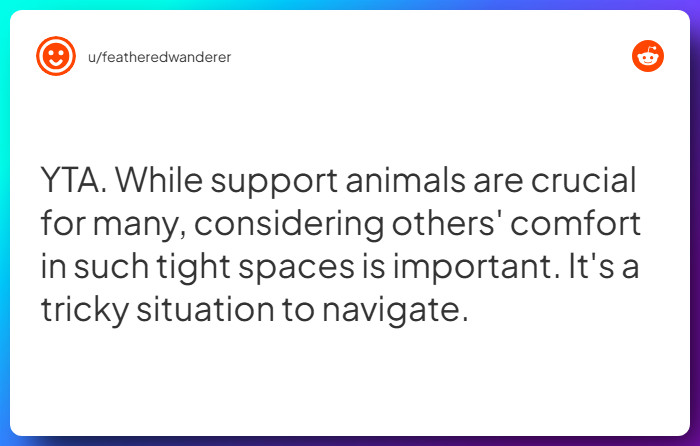 Comment from u/featheredwanderer