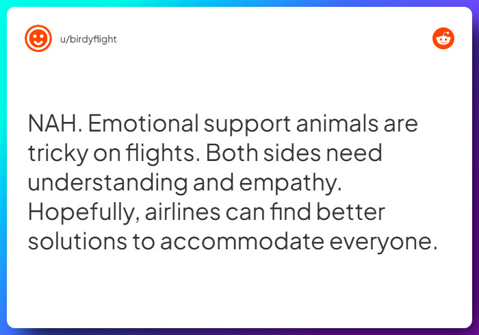 Comment from u/birdyflight