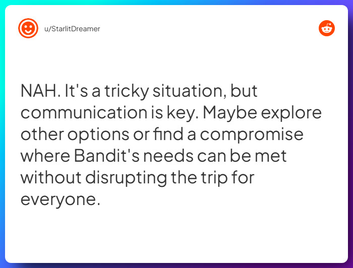 Comment from u/StarlitDreamer