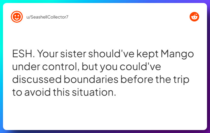 Comment from u/SeashellCollector7