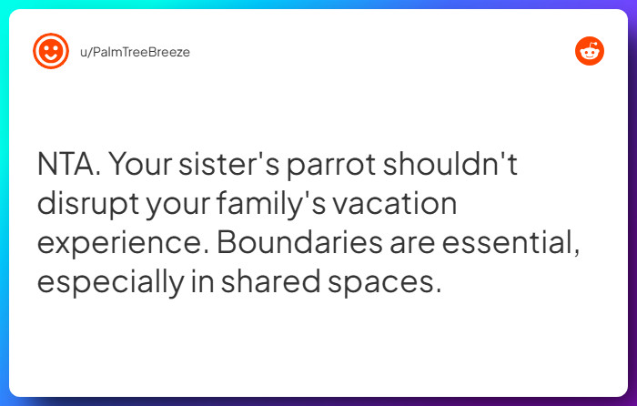 Comment from u/PalmTreeBreeze