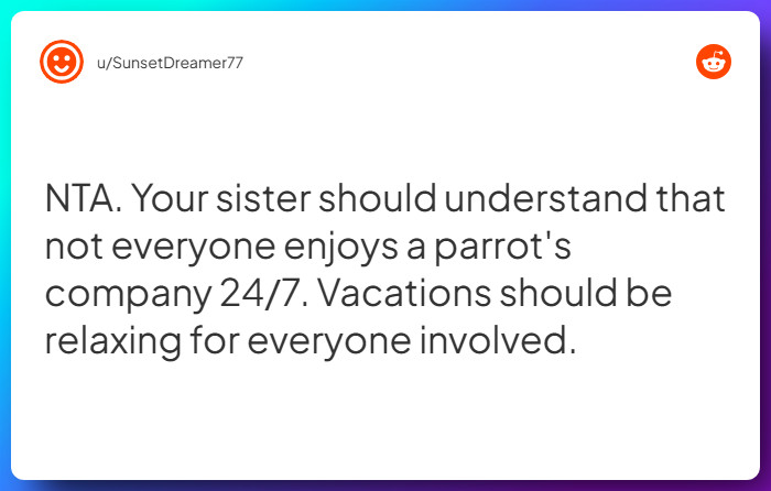 Comment from u/SunsetDreamer77