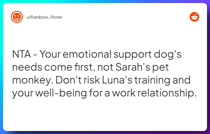 Comment from u/Rainbow_Rioter