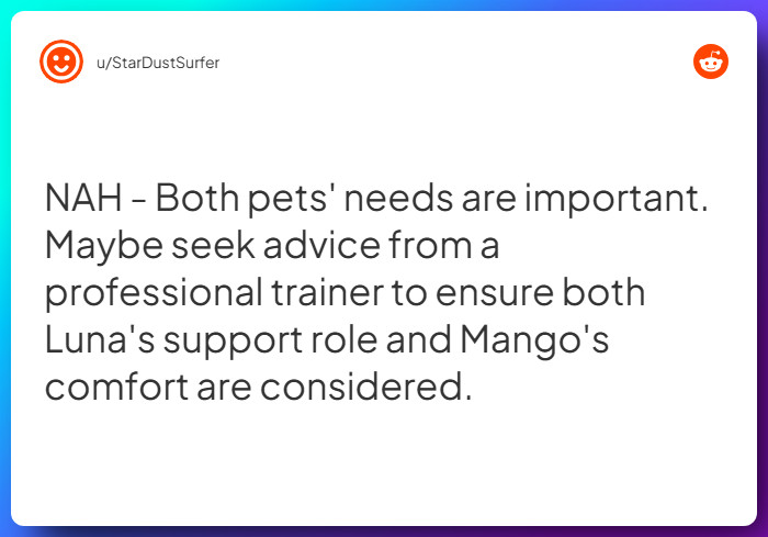 Comment from u/StarDustSurfer