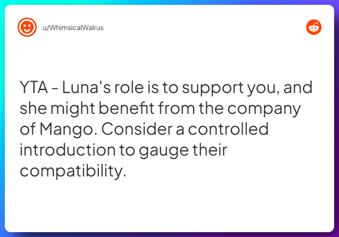 Comment from u/WhimsicalWalrus