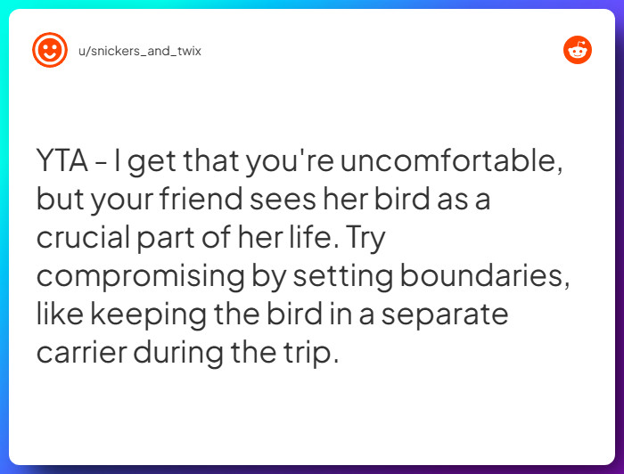 Comment from u/snickers_and_twix