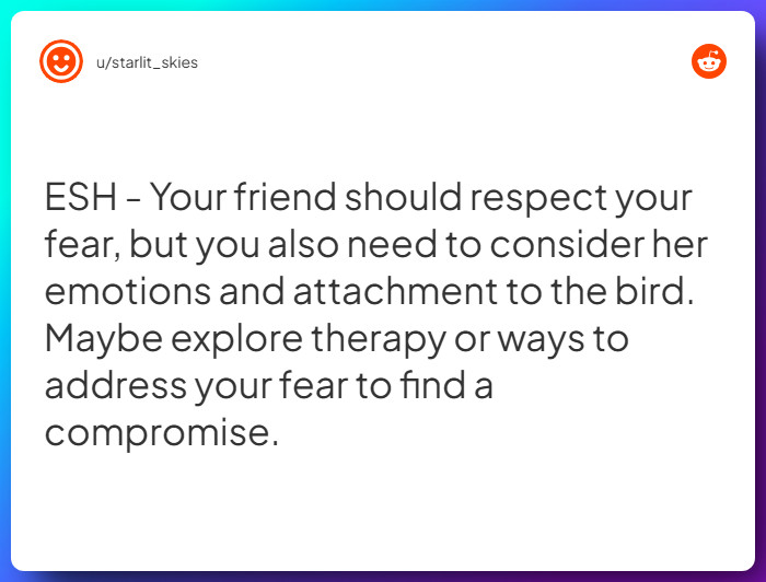 Comment from u/starlit_skies