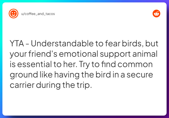 Comment from u/coffee_and_tacos