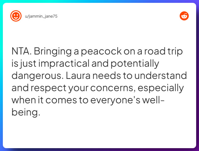 Comment from u/jammin_jane75