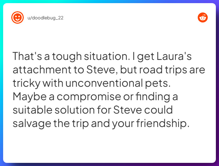 Comment from u/doodlebug_22