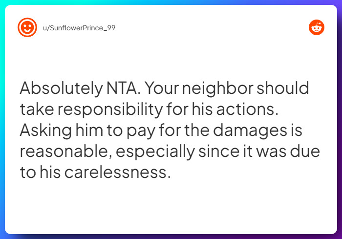 Comment from u/SunflowerPrince_99